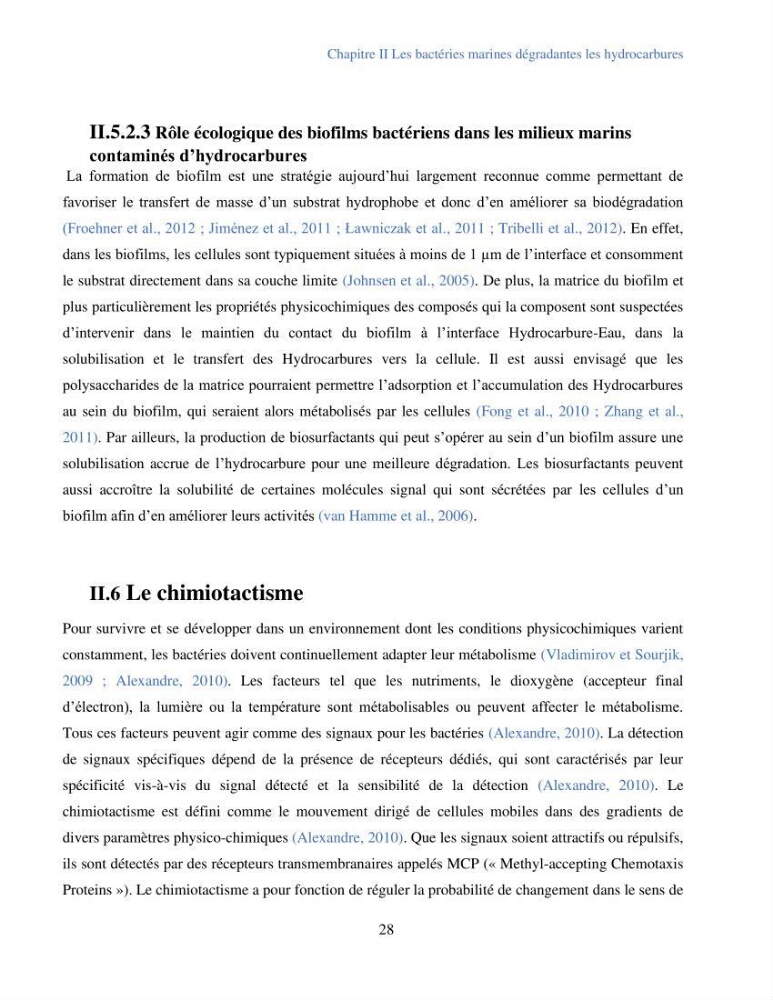 Caractérisation des bactéries marines dégradant les différentes fractions du pétrole