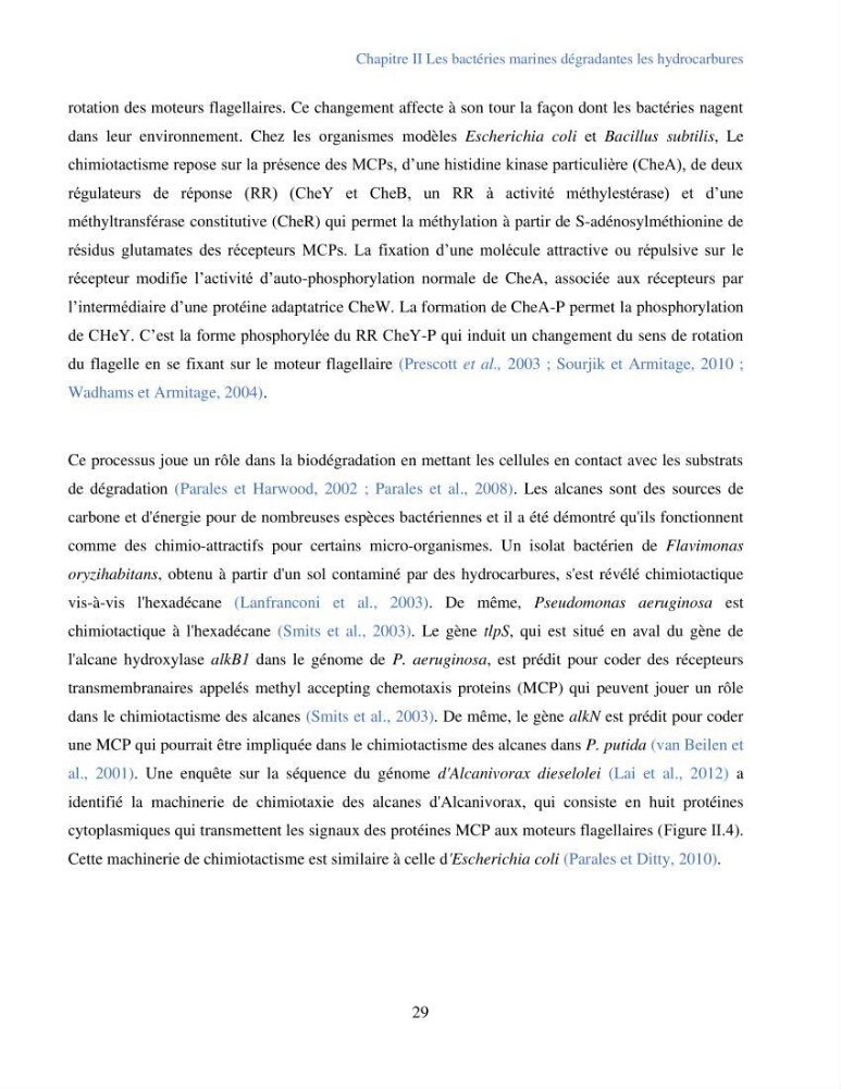 Caractérisation des bactéries marines dégradant les différentes fractions du pétrole