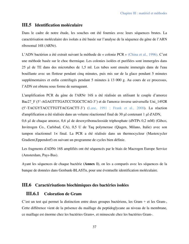 Caractérisation des bactéries marines dégradant les différentes fractions du pétrole