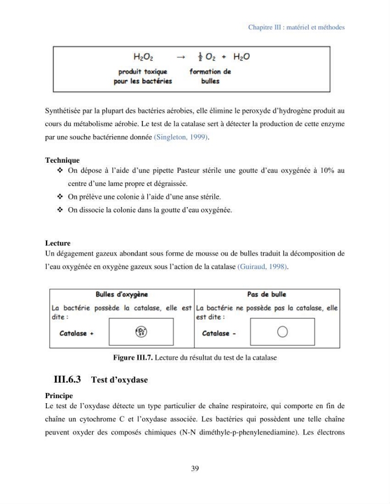 Caractérisation des bactéries marines dégradant les différentes fractions du pétrole