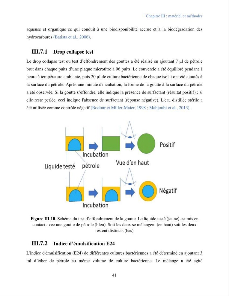 Caractérisation des bactéries marines dégradant les différentes fractions du pétrole