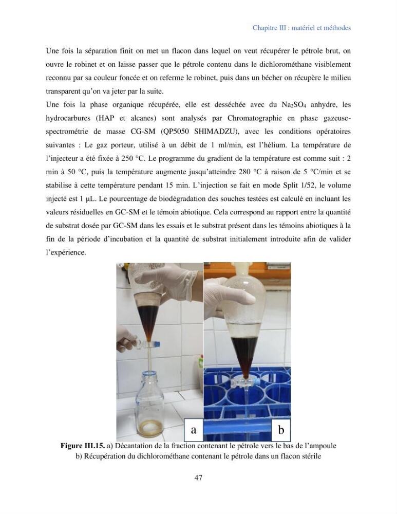 Caractérisation des bactéries marines dégradant les différentes fractions du pétrole