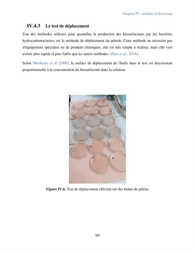 Caractérisation des bactéries marines dégradant les différentes fractions du pétrole