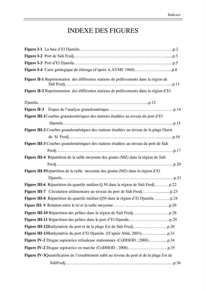 Ensablement des ports de Sidi fredj et d\'El Djamila et le devenir des produits de dragage