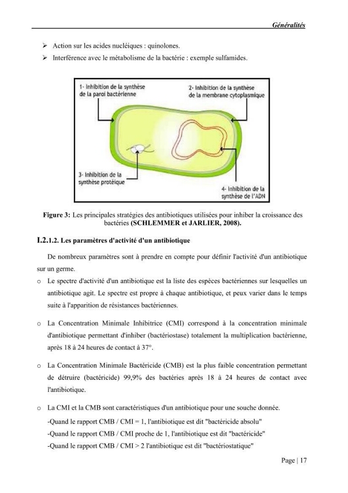 Etude et caractérisation de la résistance aux bétalactamines chez des bactéries isolées de la moule d\'élevage \"Mytilus galloprovincialis\" ainsi que de son environnement: