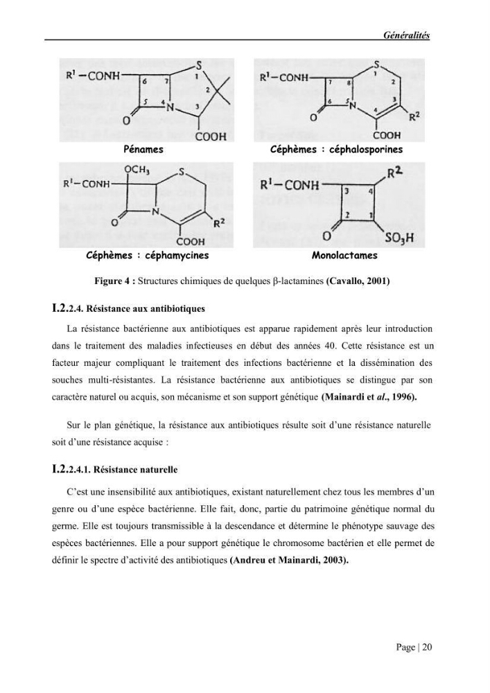 Etude et caractérisation de la résistance aux bétalactamines chez des bactéries isolées de la moule d\'élevage \"Mytilus galloprovincialis\" ainsi que de son environnement: