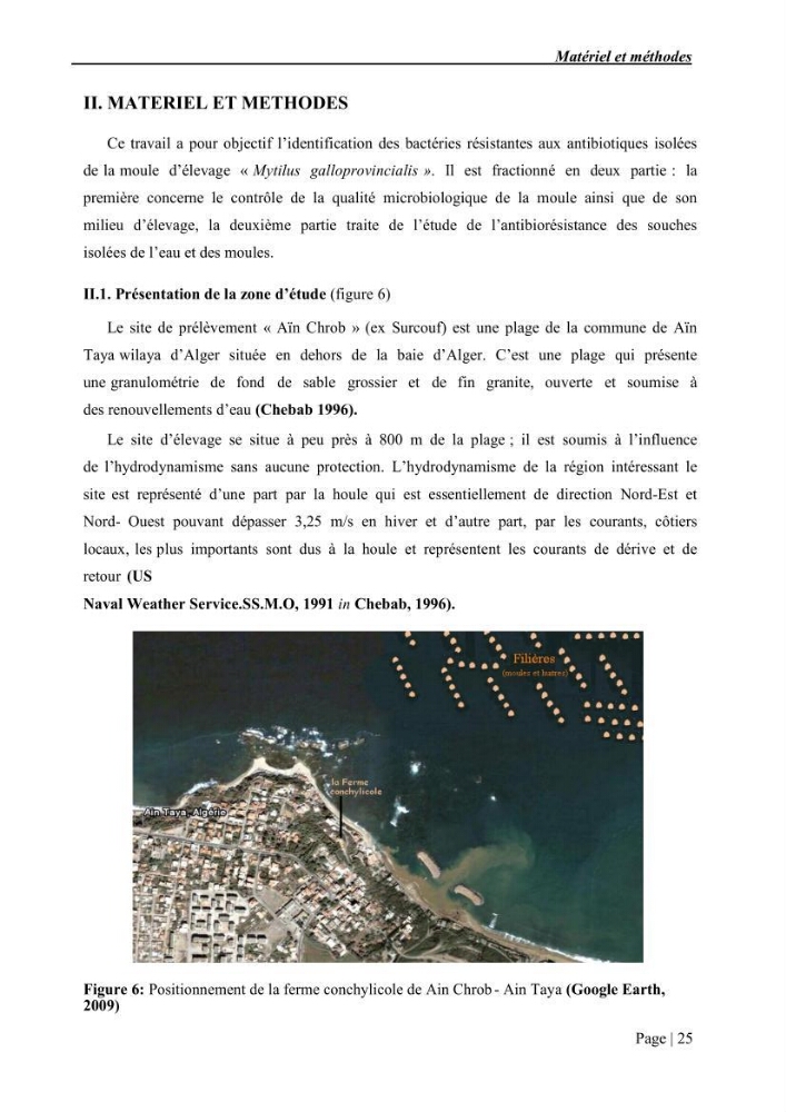 Etude et caractérisation de la résistance aux bétalactamines chez des bactéries isolées de la moule d\'élevage \"Mytilus galloprovincialis\" ainsi que de son environnement: