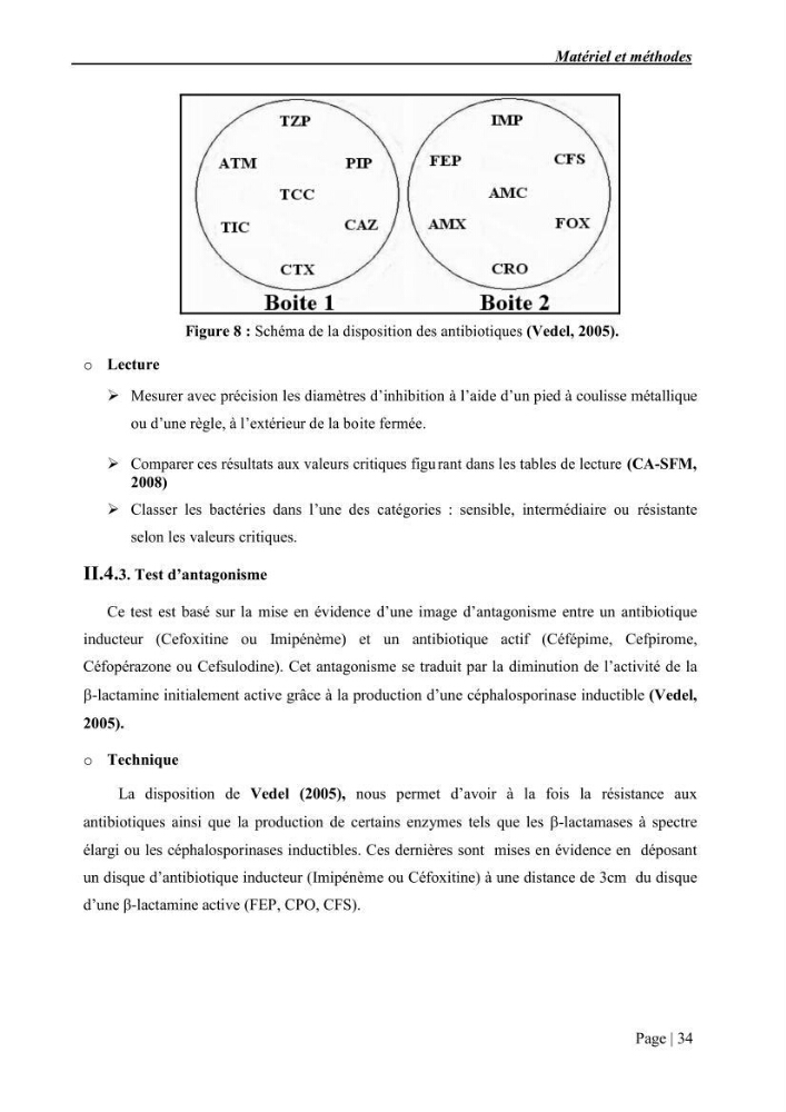Etude et caractérisation de la résistance aux bétalactamines chez des bactéries isolées de la moule d\'élevage \"Mytilus galloprovincialis\" ainsi que de son environnement: