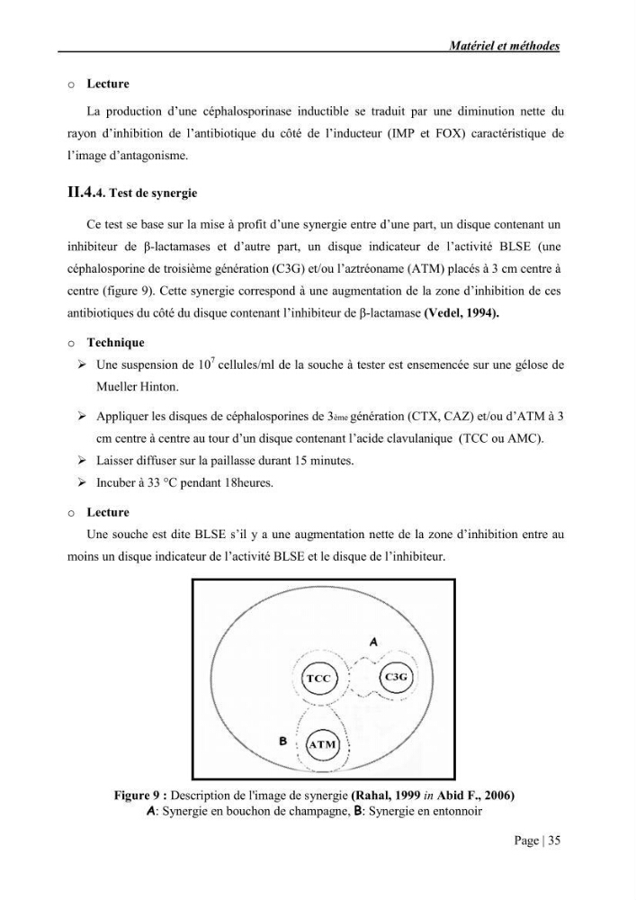 Etude et caractérisation de la résistance aux bétalactamines chez des bactéries isolées de la moule d\'élevage \"Mytilus galloprovincialis\" ainsi que de son environnement: