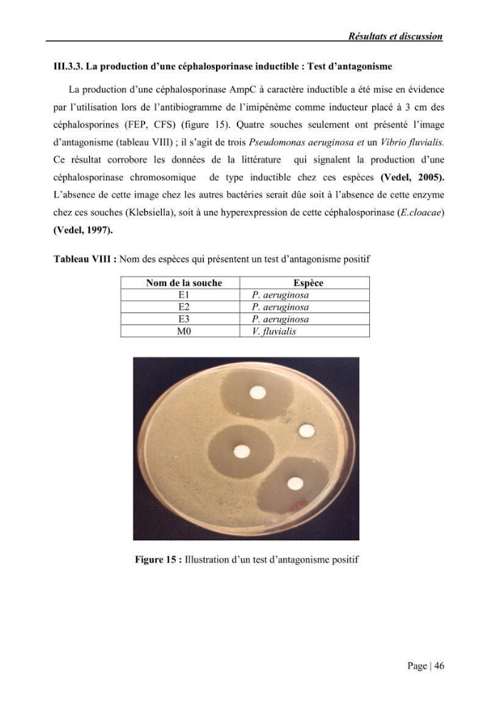 Etude et caractérisation de la résistance aux bétalactamines chez des bactéries isolées de la moule d\'élevage \"Mytilus galloprovincialis\" ainsi que de son environnement:
