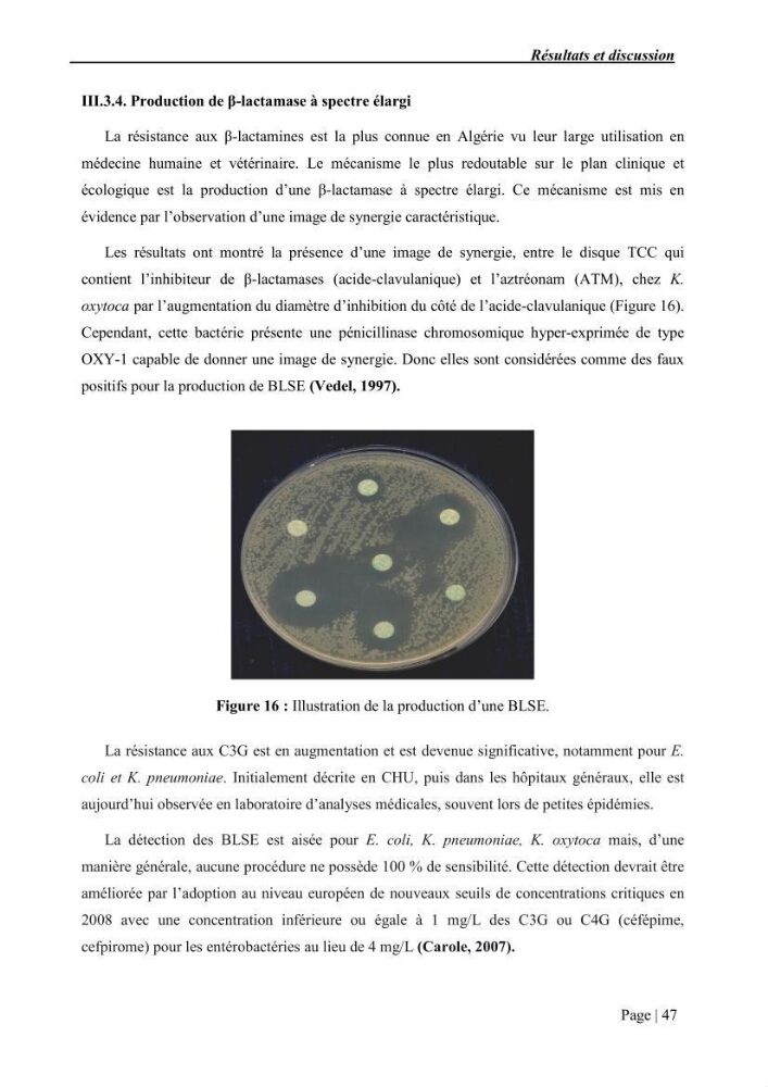 Etude et caractérisation de la résistance aux bétalactamines chez des bactéries isolées de la moule d\'élevage \"Mytilus galloprovincialis\" ainsi que de son environnement:
