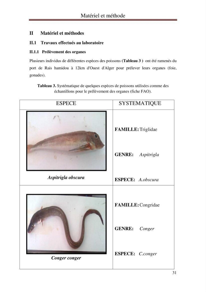 Mise en place d\'indicateurs écotoxicologiques pour la surveillance et l\'évaluation de la pollution marine (indice hépatique et gonadique des poissons)
