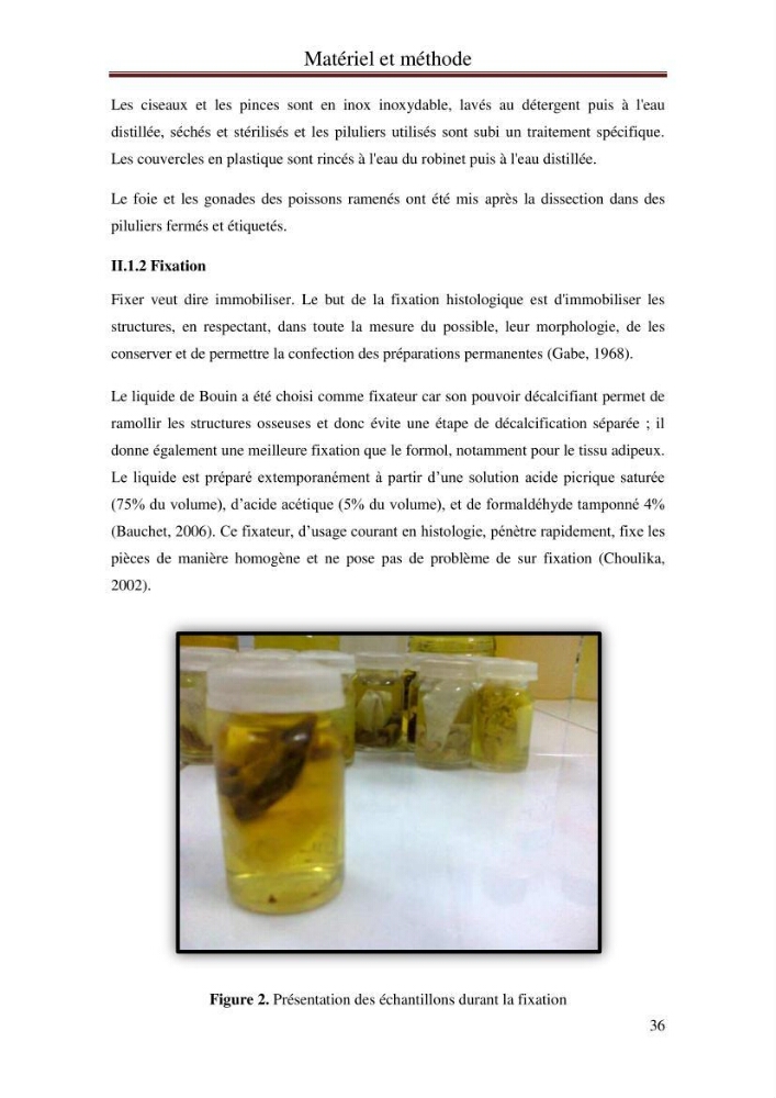 Mise en place d\'indicateurs écotoxicologiques pour la surveillance et l\'évaluation de la pollution marine (indice hépatique et gonadique des poissons)