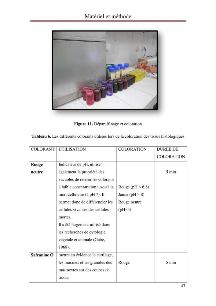 Mise en place d\'indicateurs écotoxicologiques pour la surveillance et l\'évaluation de la pollution marine (indice hépatique et gonadique des poissons)