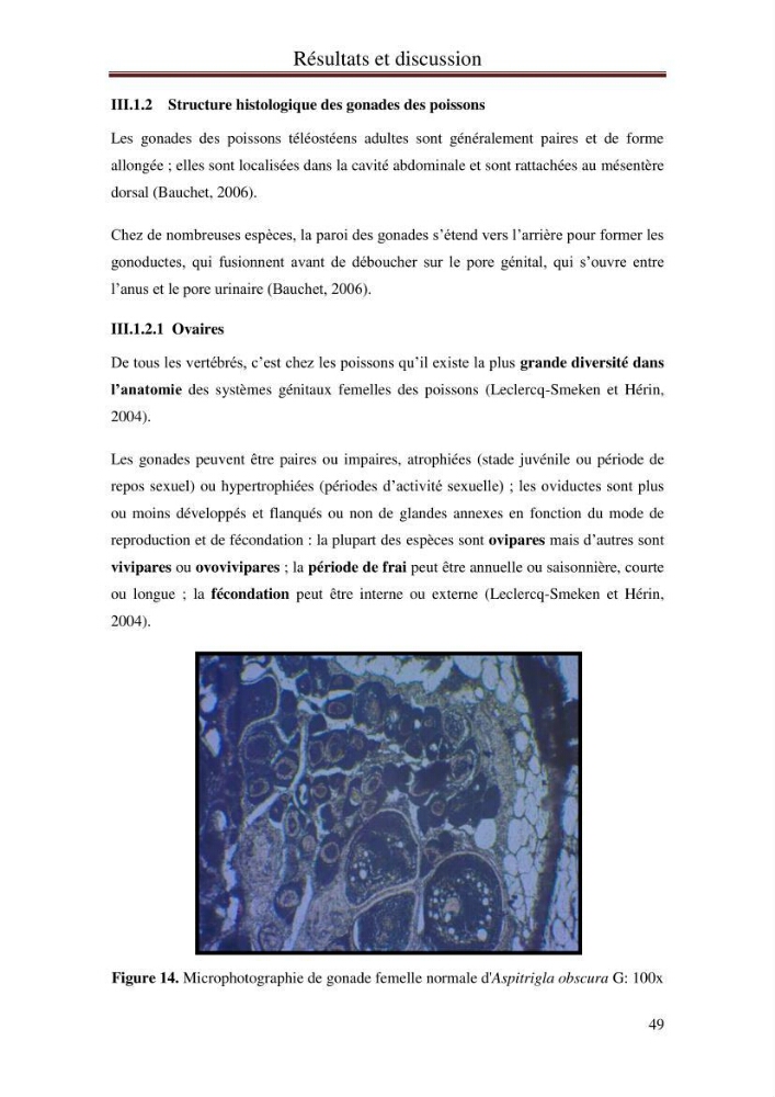 Mise en place d\'indicateurs écotoxicologiques pour la surveillance et l\'évaluation de la pollution marine (indice hépatique et gonadique des poissons)