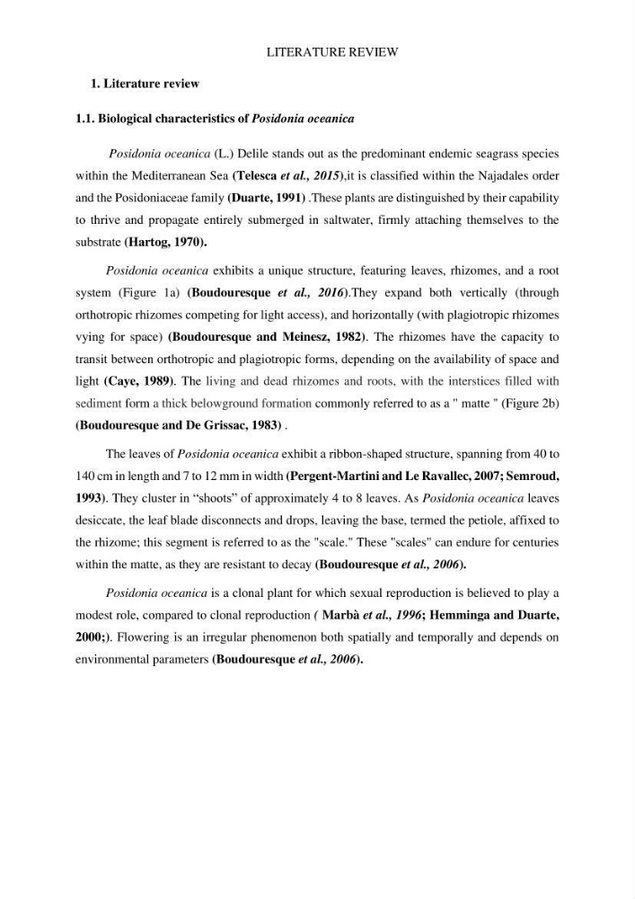 Assessment and quantification of anthropogenic pressures on Posidonia oceanica (L.) Delile 1883 meadows in the central Algerian coast