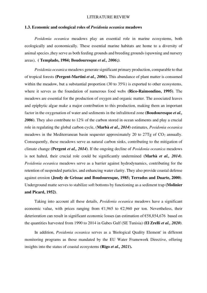 Assessment and quantification of anthropogenic pressures on Posidonia oceanica (L.) Delile 1883 meadows in the central Algerian coast