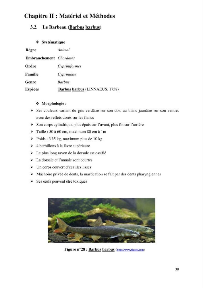 Evaluation des ressources piscicoles d\'un plan d\'eau