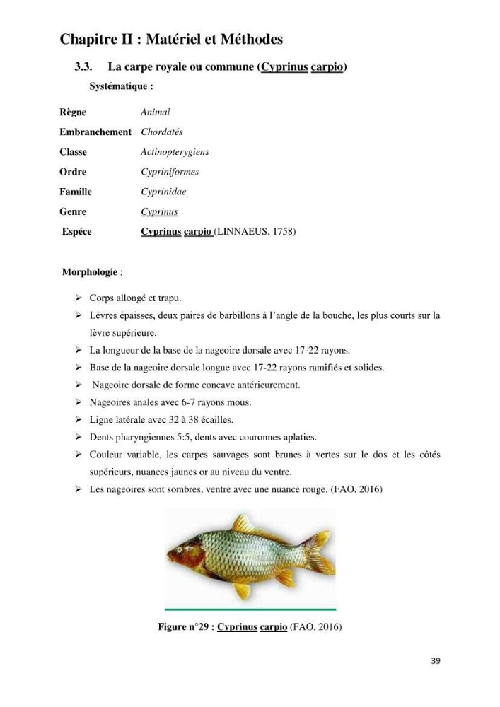 Evaluation des ressources piscicoles d\'un plan d\'eau