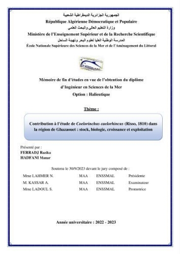 Contribution à l'étude de Coelorinchus caelorhincus (Risso,1810 ) dans la région de Ghazaouet stcck, biologie, croissance et exploitation Contribution à l'étude de Coelorinchus caelorhincus (Risso,1810 ) dans la région de Ghazaouet stcck, biologie, croissance et exploitation