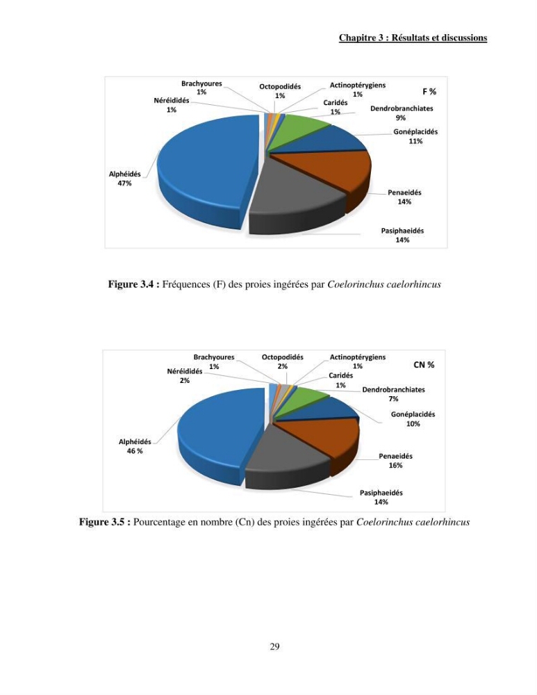 Contribution à l\'étude de Coelorinchus caelorhincus (Risso,1810 ) dans la région de Ghazaouet stcck, biologie, croissance et exploitation