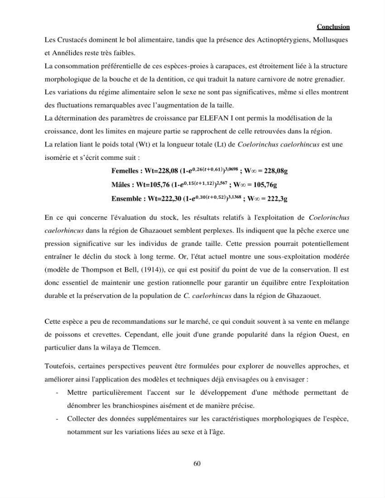 Contribution à l\'étude de Coelorinchus caelorhincus (Risso,1810 ) dans la région de Ghazaouet stcck, biologie, croissance et exploitation