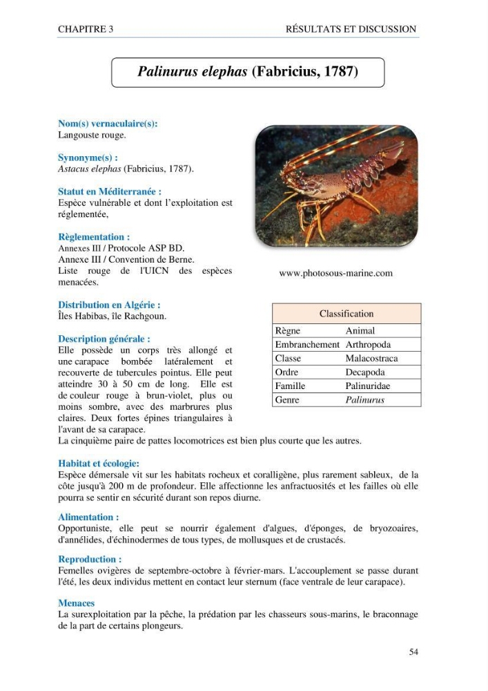 inventaire de la faune et de la flore marine d\'intérêt écologique des sites remarquables de la côte Ouest Algérienne: