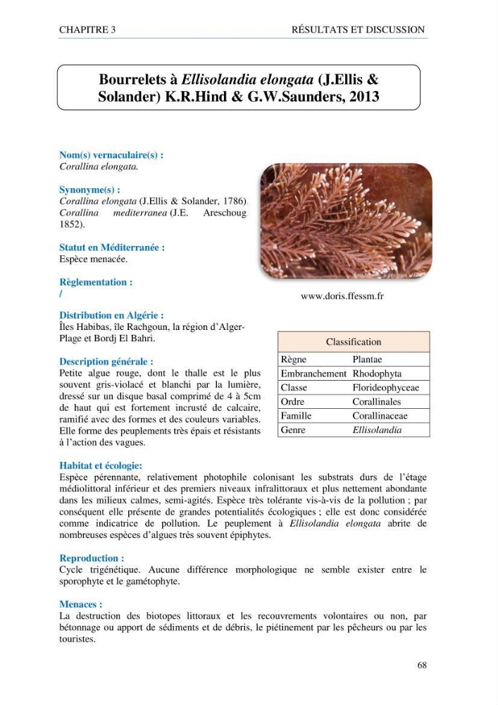 inventaire de la faune et de la flore marine d\'intérêt écologique des sites remarquables de la côte Ouest Algérienne: