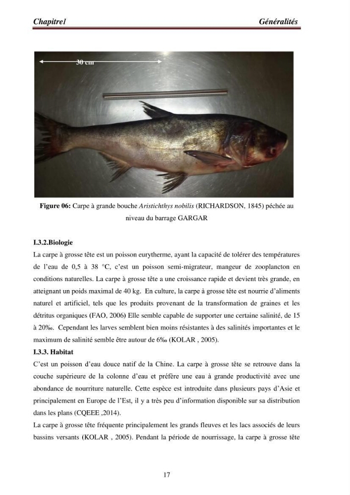 Contribution à la valorisation de la carpe chinoise Aristichthys nobilis (Richardson,1845) et l\'évaluation de la qualité des produits transformés: