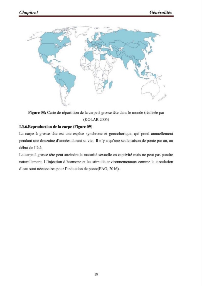 Contribution à la valorisation de la carpe chinoise Aristichthys nobilis (Richardson,1845) et l\'évaluation de la qualité des produits transformés: