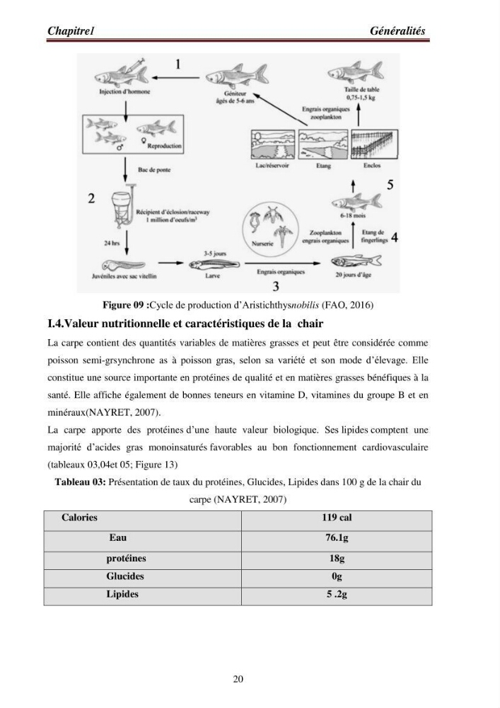Contribution à la valorisation de la carpe chinoise Aristichthys nobilis (Richardson,1845) et l\'évaluation de la qualité des produits transformés: