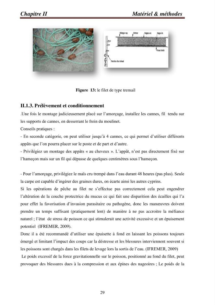 Contribution à la valorisation de la carpe chinoise Aristichthys nobilis (Richardson,1845) et l\'évaluation de la qualité des produits transformés: