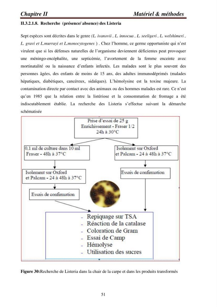 Contribution à la valorisation de la carpe chinoise Aristichthys nobilis (Richardson,1845) et l\'évaluation de la qualité des produits transformés: