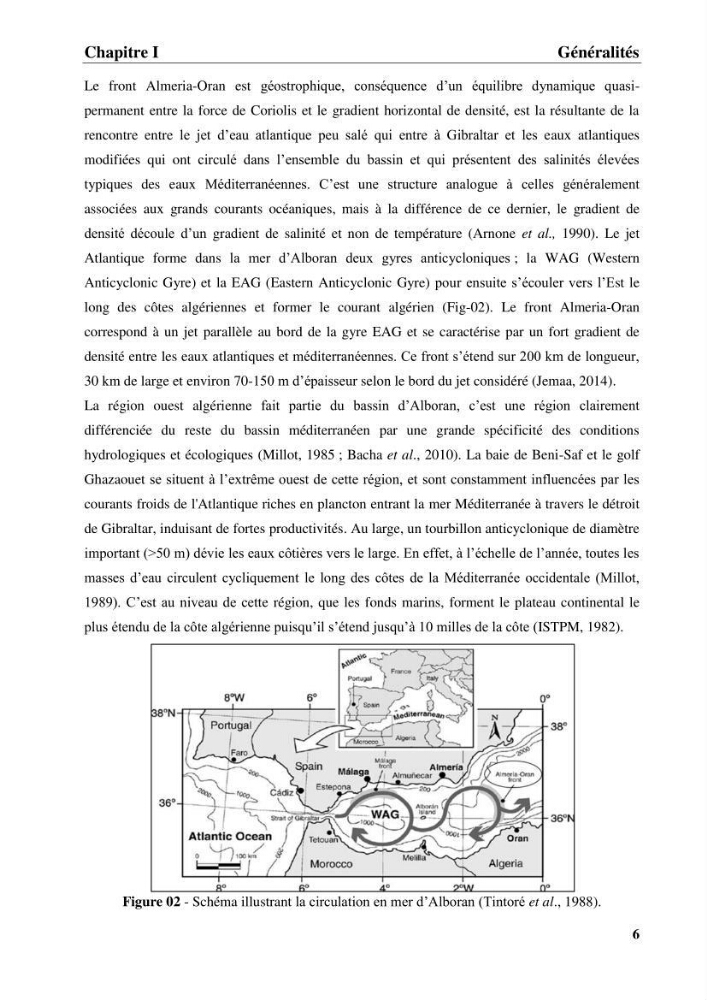 Discrimination des populations de trois espèces de petits pélagiques des côtes algériennes : Engraulis encrasicolus (Linnaeus, 1758), Sardina pilchardus (Walbaum, 1792) et Boops boops (Linnaeus, 1758) par analyse de forme des otolithes.: