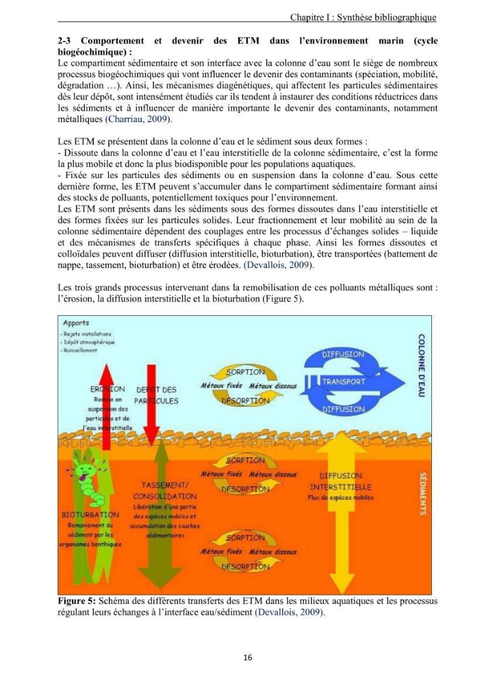 Les métaux traces dans les sédiments de la baie de Bou-Ismail