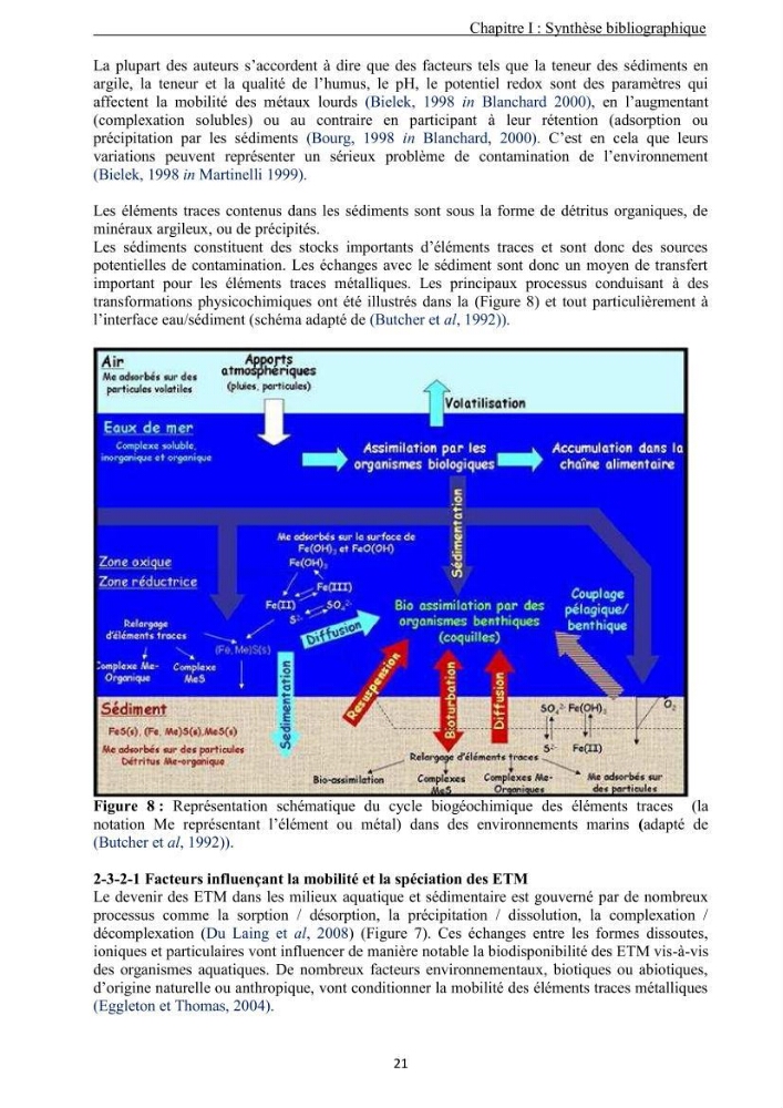 Les métaux traces dans les sédiments de la baie de Bou-Ismail