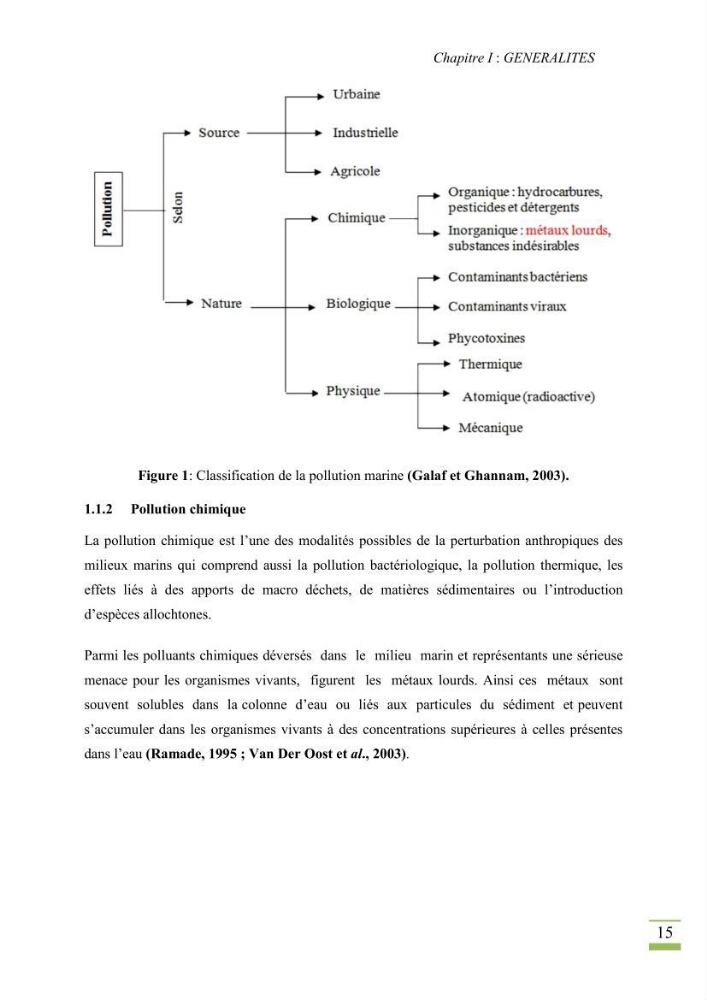 Bioaccumulation des métaux lourds chez Patella sp