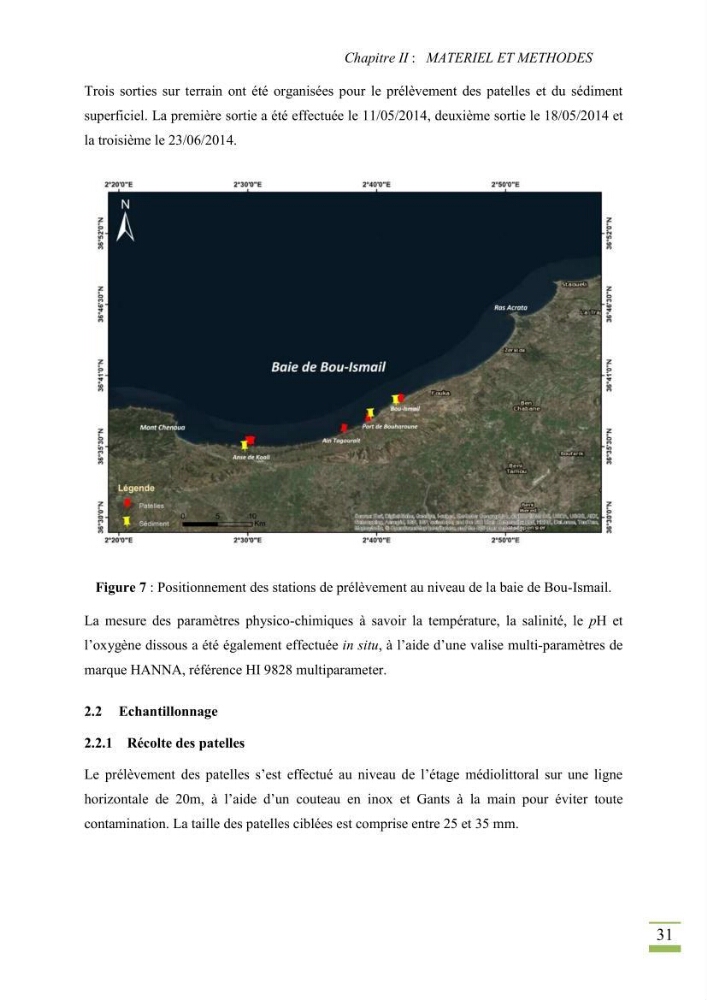 Bioaccumulation des métaux lourds chez Patella sp