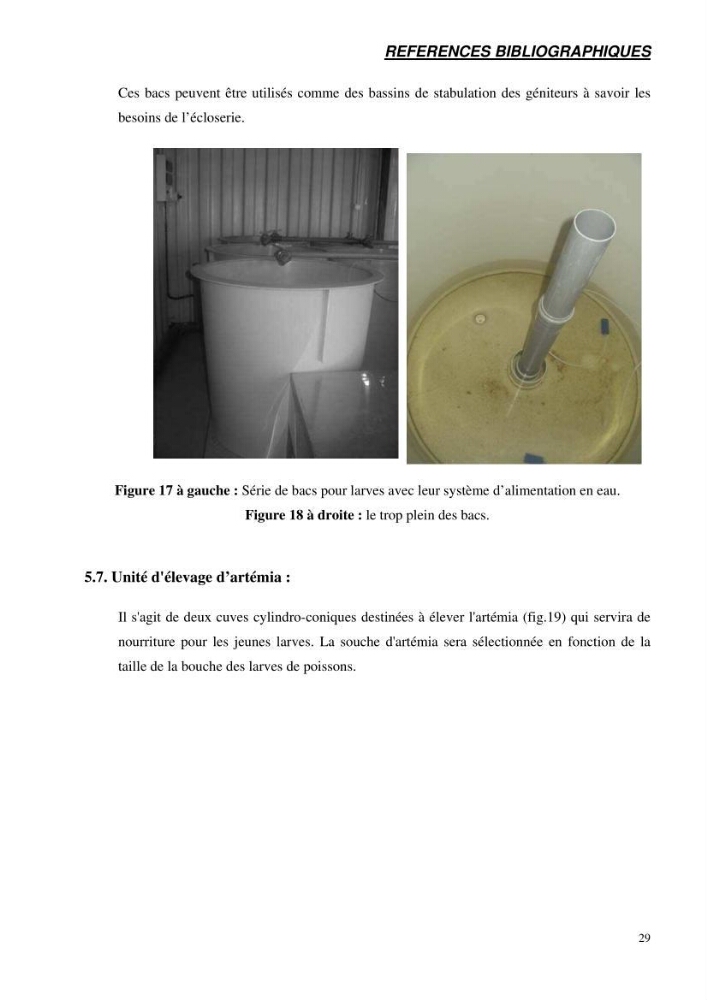 Suivi technique de la conception d\'une écoloserie mobile pour poissons d\'eau douce à Ouricia (W de Sétif)