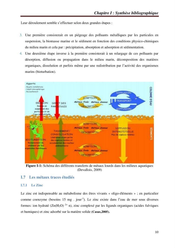 Bioaccumulation des métaux traces chez les moules de la côte algéroise: