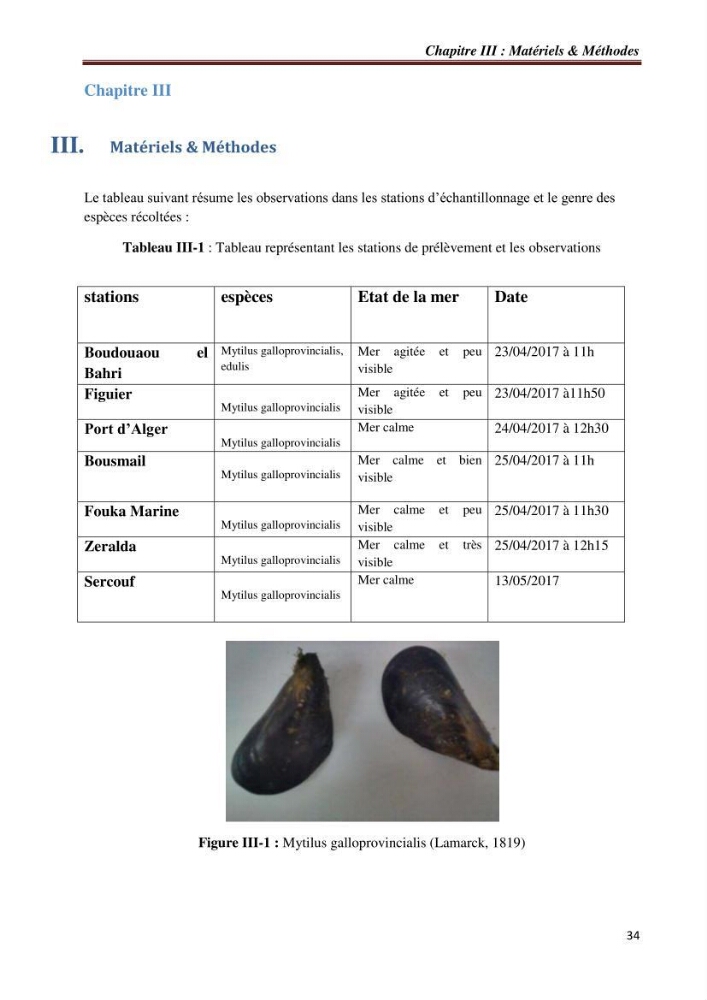 Bioaccumulation des métaux traces chez les moules de la côte algéroise: