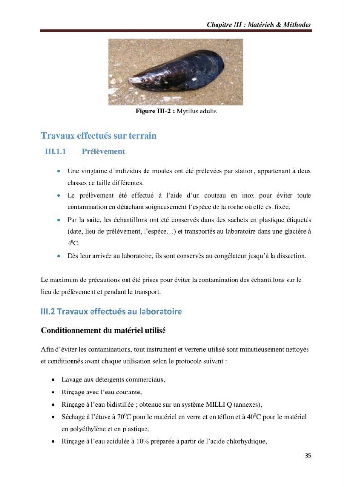 Bioaccumulation des métaux traces chez les moules de la côte algéroise: