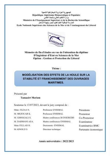 Modélisation des effets de la houle sur la stabilité et franchissement des ouvrages maritimes Modélisation des effets de la houle sur la stabilité et franchissement des ouvrages maritimes