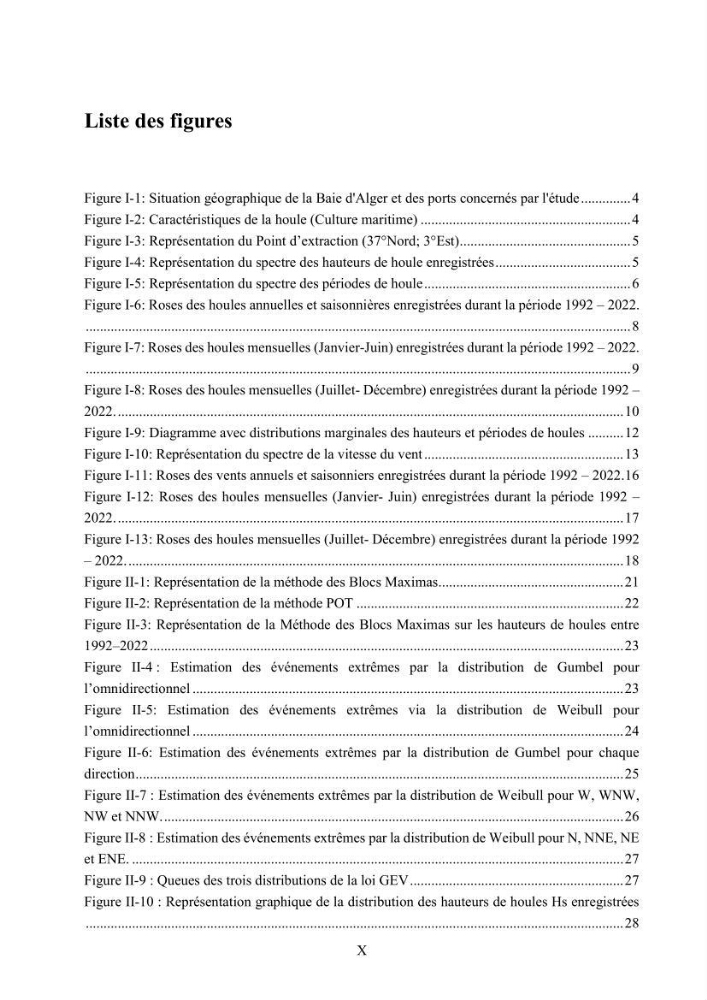 Modélisation des effets de la houle sur la stabilité et franchissement des ouvrages maritimes