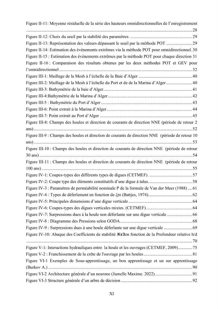 Modélisation des effets de la houle sur la stabilité et franchissement des ouvrages maritimes