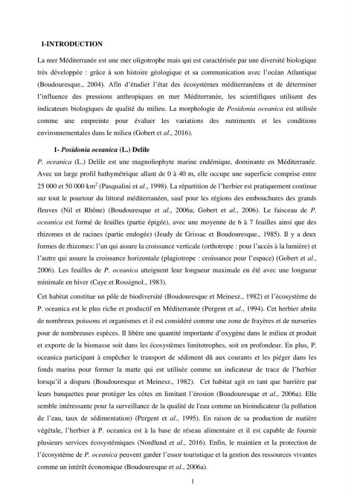 Etude écophysiologique de Posidonia oceanica (L.) Delile: mise en relation entre les contenus élémentaires en carbone et en azote et leurs rapports isotopiques, la photosynthèse et la biométrie