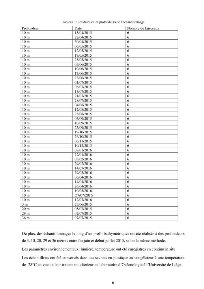Etude écophysiologique de Posidonia oceanica (L.) Delile: mise en relation entre les contenus élémentaires en carbone et en azote et leurs rapports isotopiques, la photosynthèse et la biométrie