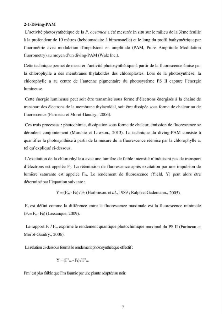 Etude écophysiologique de Posidonia oceanica (L.) Delile: mise en relation entre les contenus élémentaires en carbone et en azote et leurs rapports isotopiques, la photosynthèse et la biométrie