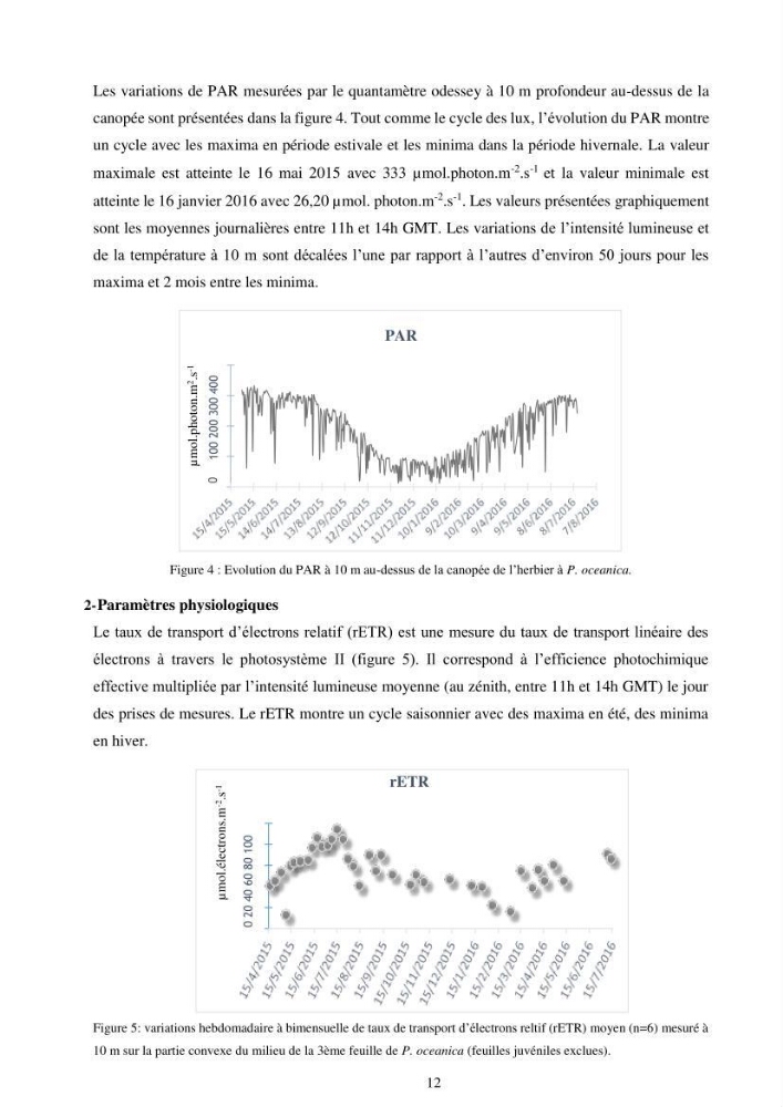 Etude écophysiologique de Posidonia oceanica (L.) Delile: mise en relation entre les contenus élémentaires en carbone et en azote et leurs rapports isotopiques, la photosynthèse et la biométrie