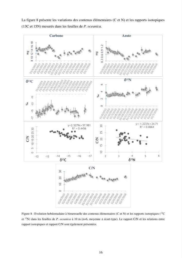 Etude écophysiologique de Posidonia oceanica (L.) Delile: mise en relation entre les contenus élémentaires en carbone et en azote et leurs rapports isotopiques, la photosynthèse et la biométrie